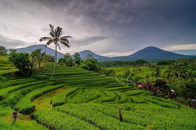 Private Chartered Car to Bali Temples With Besakih Temple - Besakih: when the scale finally clicks