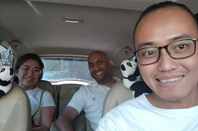 Private Chauffeur Service in Bali - The Car Experience: A/C, Wi‑Fi, and a Driver Who Handles the Hard Parts