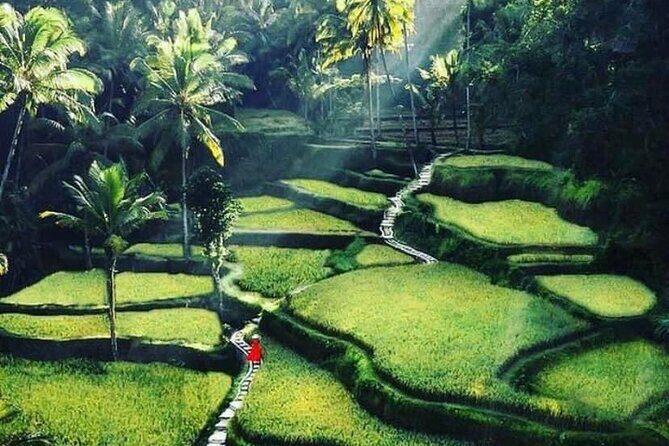 Private Customized Tour with Local Guide - Private, customized route from Kuta: how your “10 hours” really feels