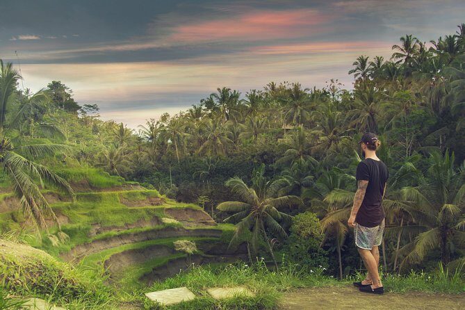 Private Full-Day Bali Tour - Sacred Monkey Forest Sanctuary: temples in the middle of a real rainforest