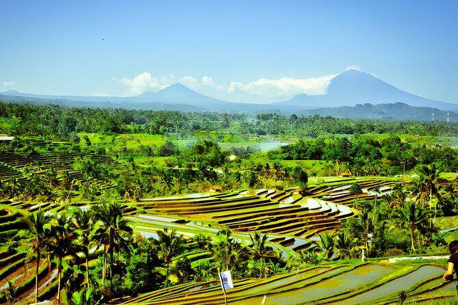 Private Full-Day Tour: Discover The Best of Bali Destination - What’s included in your price—and how to avoid surprises