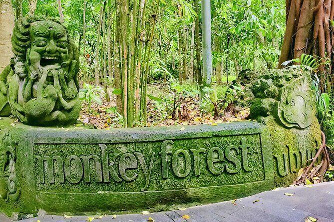 Private Full-Day Tour in Bali & FREE WIFI - Door-to-door Seminyak pickup: how to avoid wasting the day