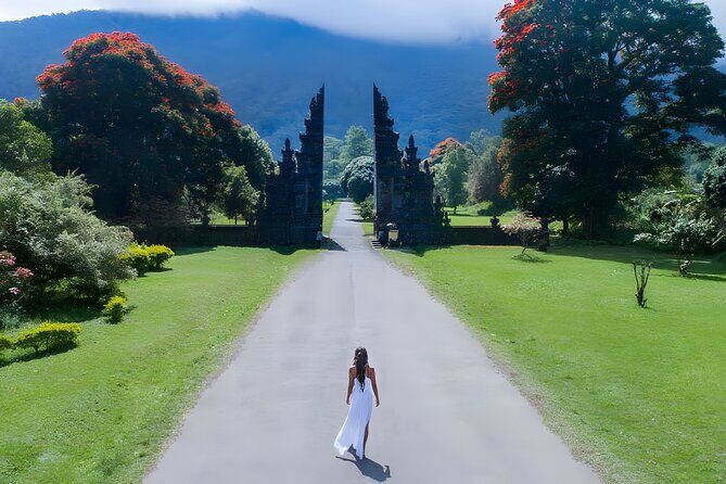 Private Full-Day Tour : North Bali Trip to Discover The Culture of Bali Island - Handara Iconic Gate: setting up your best north Bali photos