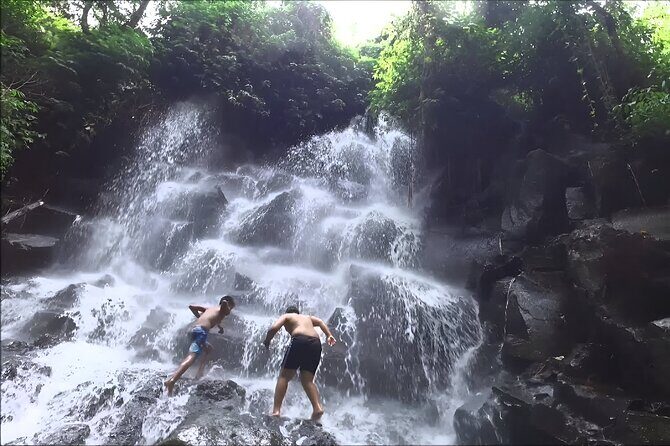 Private Full-Day Tour: The Beauty of Bali Waterfall Trip - Timing, Weather, and the Real Stairs Factor