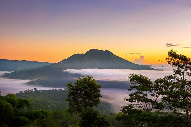 Private Full-Day Tour: Waterfall, Temple, Volcano, Rice Terrace & Monkey Forest - Tegenungan Waterfall: Your First Jungle Photo Stop
