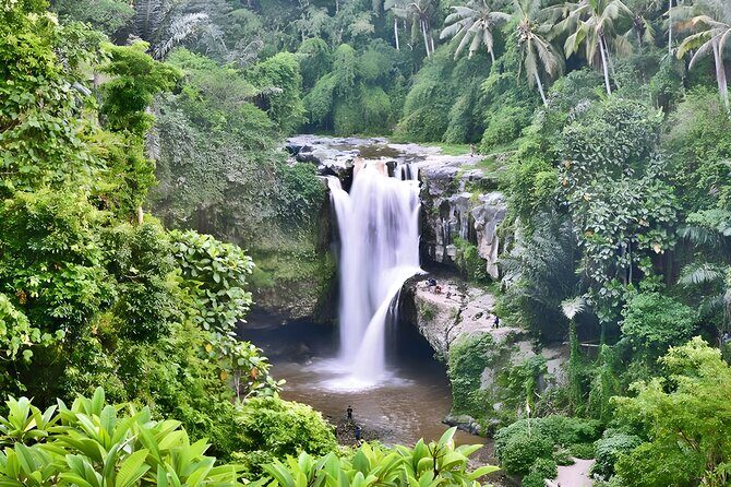 Private Half-Day Tour: The Best Ubud Half Day Trip Packages - Lunch at a Local Restaurant: Comfort, Fuel, and Veg Options