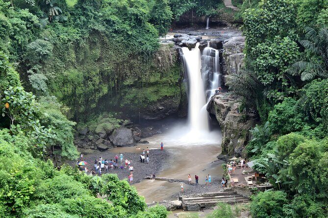 Private Half-Day Tour : Ubud Waterfall Tour Packages - Tegalalang Rice Terrace: views plus a real story