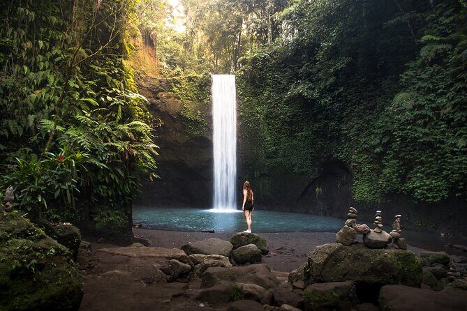 Private Inclusive Tour: The Best Of Ubud With Jungle Swing - Key things I’d bet on