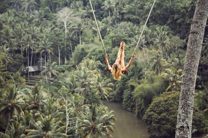 Private Inclusive Tour: The Best Of Ubud With Jungle Swing - How the day flows: private transport that helps you slow down