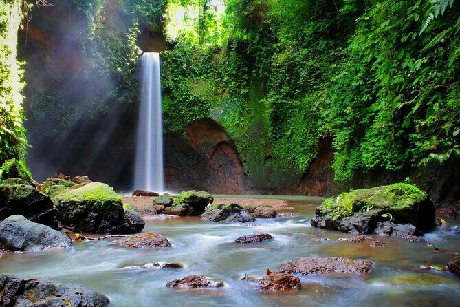 Private Inclusive Tour: The Best Of Ubud With Jungle Swing - Price and what you truly get for $53