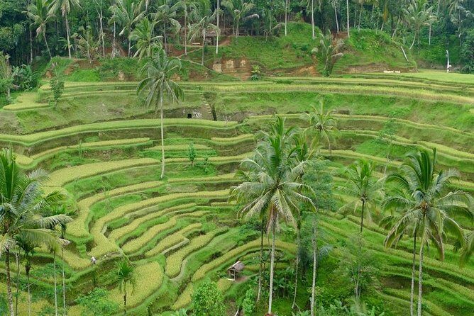 Private Inclusive Tours: 2 Days highlight of Bali - Pickup from Seminyak: fewer decisions, more time outside