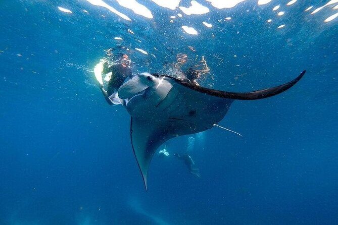 PRIVATE Nusa Penida on Boat Snorkeling & Island Tour (INCLUSIVE) - Key highlights worth caring about