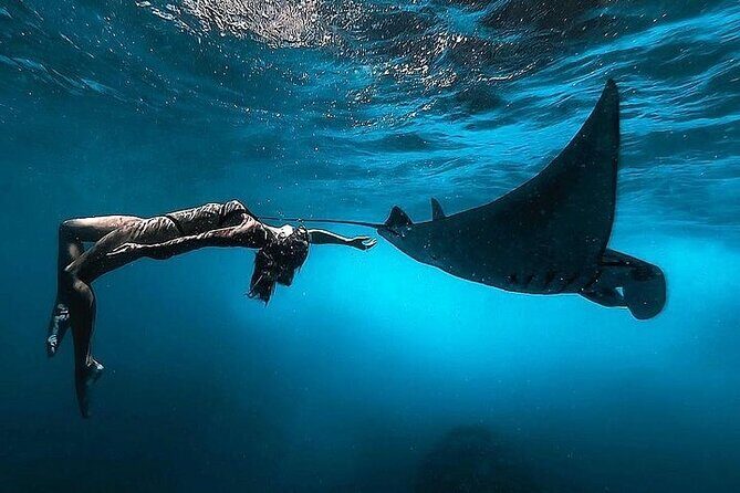 PRIVATE Nusa Penida on Boat Snorkeling & Island Tour (INCLUSIVE) - Manta Bay is the headliner, but the timing is the trick