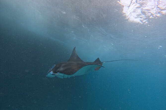 PRIVATE Nusa Penida on Boat Snorkeling & Island Tour (INCLUSIVE) - Price and value: what $135 buys you in the real world