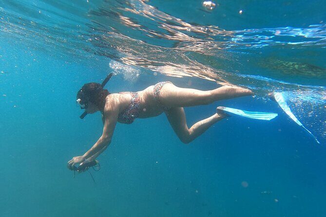 Private Nusa Penida Snorkeling Tour - Price and value: why $157.84 can still feel fair
