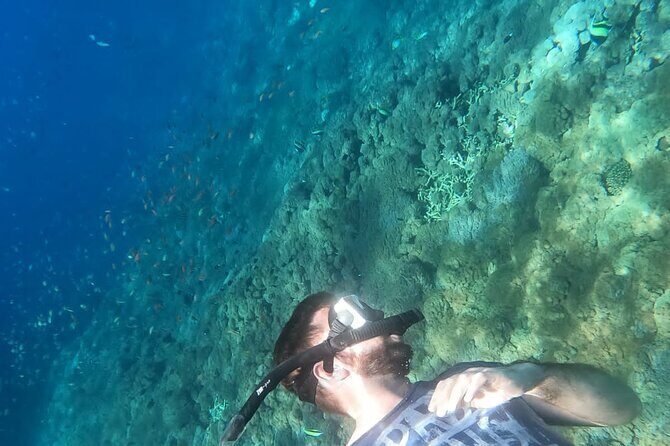 Private Nusa Penida Snorkeling Tour - Who this tour suits best (and who should think twice)