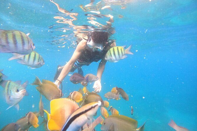 Private Snorkeling in Manta Bay, Gamat Bay & Wall at Nusa Penida - The 3-Stop Route: Manta Bay, Gamat Bay, and Wall Point (Plus Crystal Bay)