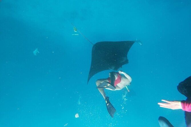 Private Snorkeling in Manta Bay, Gamat Bay & Wall at Nusa Penida - Getting More From Your Short Snorkel Time (About 15–20 Minutes Each)