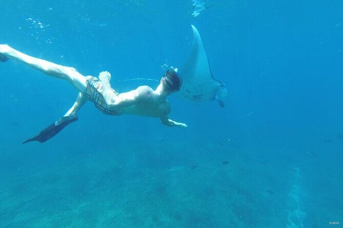 Private Snorkeling in Manta Bay, Gamat Bay & Wall at Nusa Penida - The Instructor Advantage: How You Learn to Find Fish