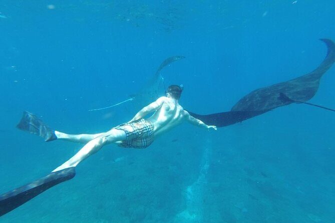 Private Snorkeling in Manta Bay, Gamat Bay & Wall at Nusa Penida - What You Actually Get Included: Gear, Water, and Lunch