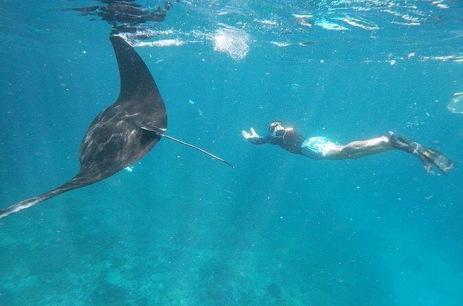 Private Snorkeling in Manta Bay, Gamat Bay & Wall at Nusa Penida - Transport and Timing From Kuta to Sanur Harbor