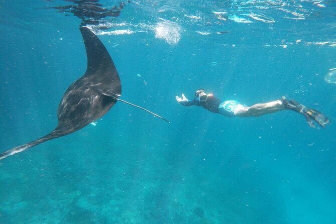 Private Snorkeling in Manta Bay, Gamat Bay & Wall at Nusa Penida - Price and Value: Is $115 Worth It?