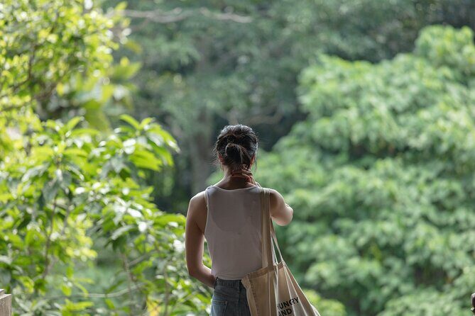 Private Tour : Bali Best Waterfalls, Temples and Monkey Forest - The Ubud Pause: Lunch and a Breather Without Losing Momentum