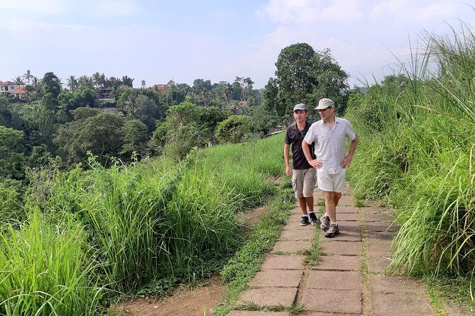 Private Tour: Campuhan Ridge Walk, Ubud Rice Terrace & Ubud Palace - Ubud Traditional Art Market: free entry and easy souvenir shopping