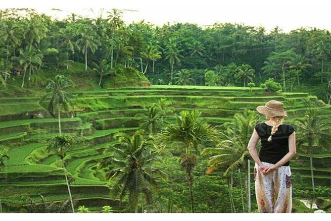 Private Tour: Campuhan Ridge Walk, Ubud Rice Terrace & Ubud Palace - Price and value: what $25 buys when pickup and tickets are included