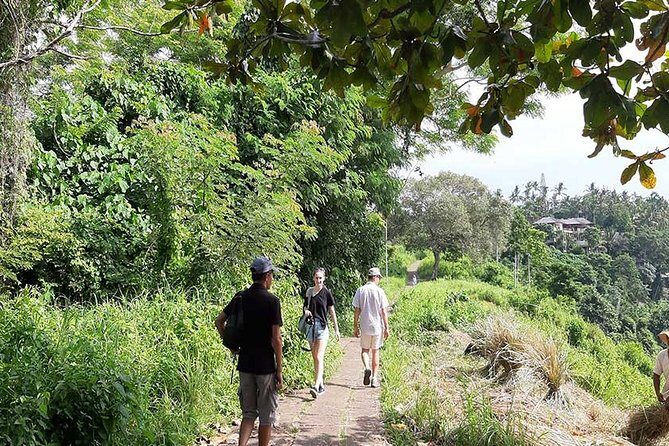 Private Tour: Campuhan Ridge Walk, Ubud Rice Terrace & Ubud Palace - Your private group experience: English-speaking drivers and photo help
