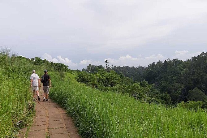 Private Tour: Campuhan Ridge Walk, Ubud Rice Terrace & Ubud Palace - The 8-hour flow: when things happen (and why that timing matters)
