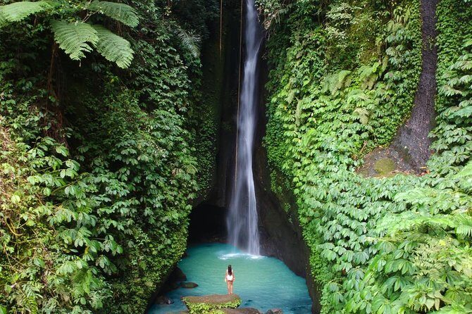 Private Tour: Leke-Leke Waterfall, Handara gate & Iconic Temples - Key highlights (what makes this one worth your time)