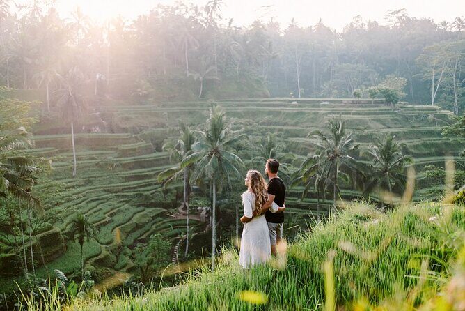 Private Tour: Waterfall, Kintamani Volcano, Ubud Tour with Lunch - Door-to-Door Comfort: The Air-Conditioned Minivan Plan