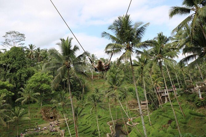 Private Ubud Tour Package - Private pickup and the driver factor in Bali