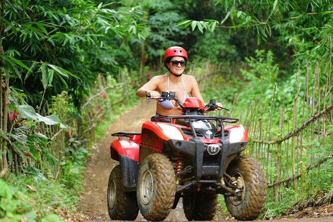 Quad Bike Ride and Snorkeling at Blue Lagoon Beach All-inclusive - Second Stop at Tanjung Jepun: More Wildlife Chances