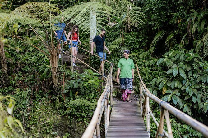 Quick Access: The Bali Instagram Small Group Tour - Price and value: $20.70 works if you budget the entry fees