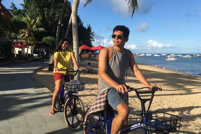 Sanur Village E-bike Tour: Family-Friendly Adventure - Turtle Conservation by the Beach: A Meaningful Stop That Doesn’t Drag