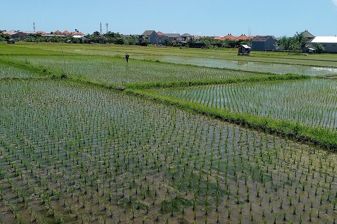 Sanur Village E-bike Tour: Family-Friendly Adventure - Your Guide Makes the Difference (and the Group Feels Small)