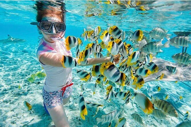 Snorkeling At Blue lagoon And Hidden waterfall - Key highlights to know before you go