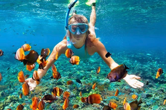 Snorkeling At Blue lagoon And Hidden waterfall - Why this Blue Lagoon and Kanto Lampo day works in Bali