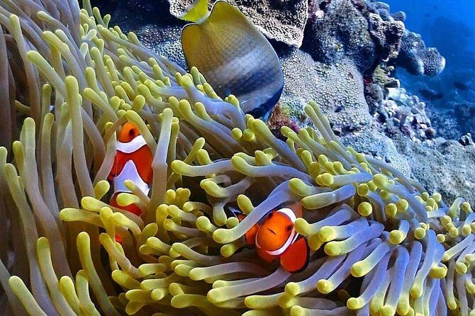 Snorkeling At Blue lagoon And Hidden waterfall - What to bring so the day feels easy