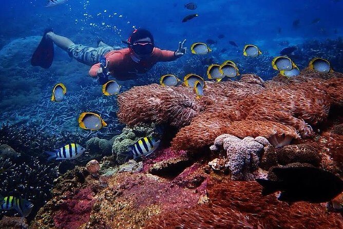 Snorkeling Day Trip To Lembongan and Penida - A full day on the water, without feeling chaotic