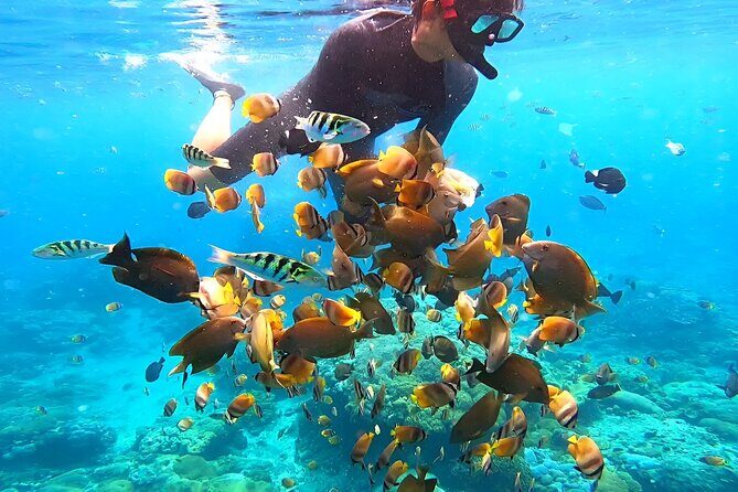 Snorkeling In Nusa Penida Departing From Bali Island - Nusa Penida snorkeling stops: what each area is like