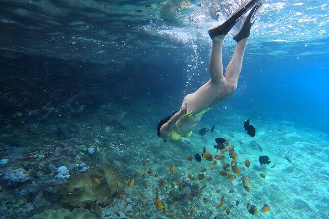 Snorkeling In Nusa Penida Departing From Bali Island - Mantas, turtles, and the weather reality