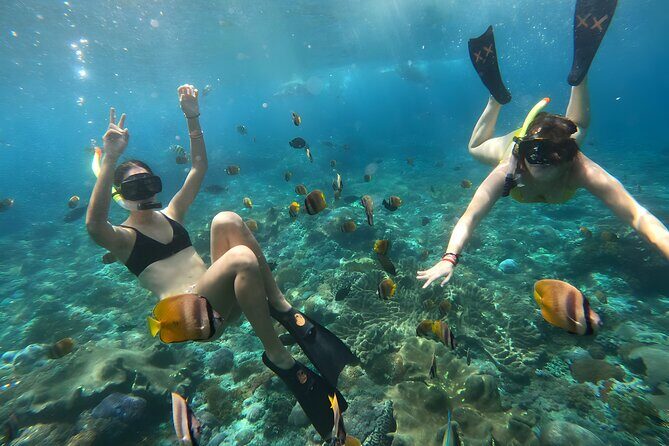 Snorkeling In Nusa Penida Departing From Bali Island - Photos without the hassle: GoPro underwater shooting