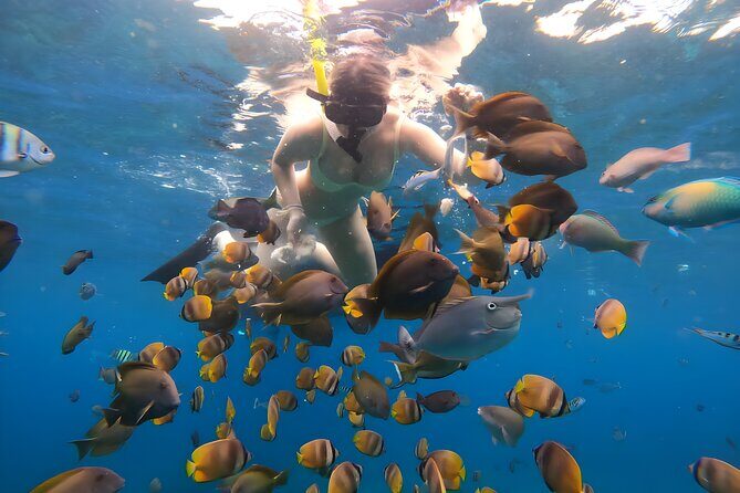 Snorkeling In Nusa Penida Departing From Bali Island - Group size, crowd levels, and why public sites matter