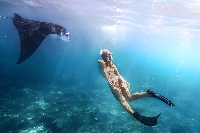 Snorkeling In Nusa Penida Island With Manta Ray From Bali - Key things to know before you go