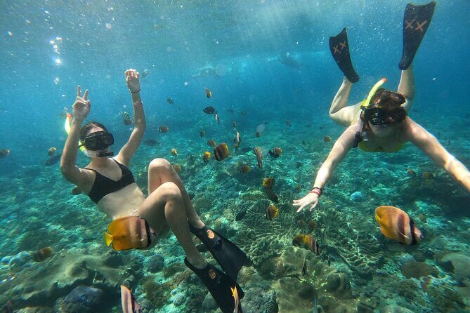Snorkeling In Nusa Penida Island With Manta Ray From Bali - The Big Idea: Nusa Penida mantas, planned around your time