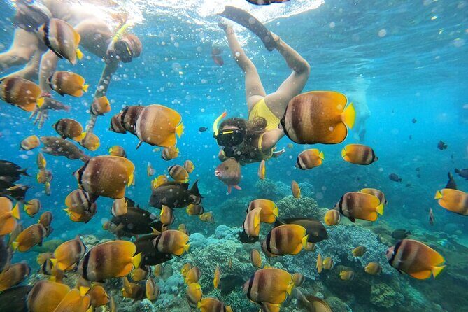 Snorkeling In Nusa Penida Island With Manta Ray From Bali - Crystal Bay and Wall Point: your first reef stop