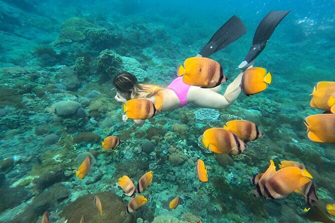 Snorkeling In Nusa Penida Island With Manta Ray From Bali - Gamat Bay: a second chance to see reef life